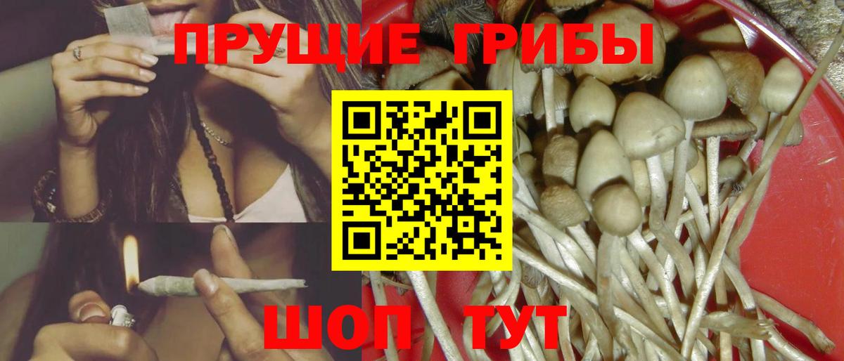 Псилоцибиновые грибы ЛСД  Вход с VPN  закладка  Алатырь 